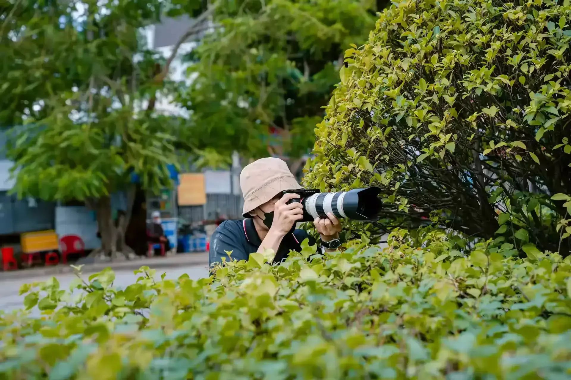 Foto 2 Paparazzi - Wie weit dürfen sie gehen?